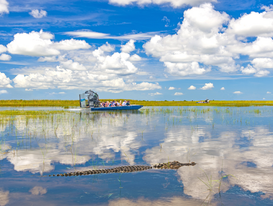 FROM KAYAKS AND SWAMP BUGGIES TO MUSEUMS AND FOOD TRUCKS, DO IT SOUTHWEST FLORIDA-STYLE