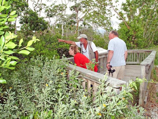 SWFL Beaches & Parks