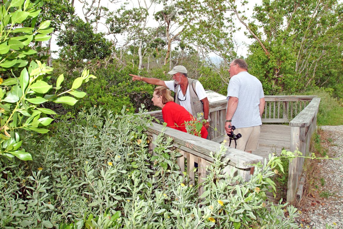 SWFL Beaches & Parks