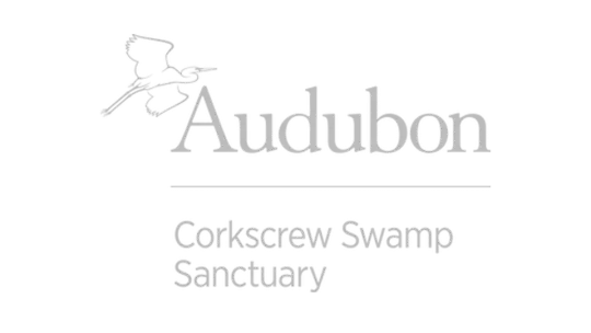 Audubon Corkscrew Swamp Sanctuary