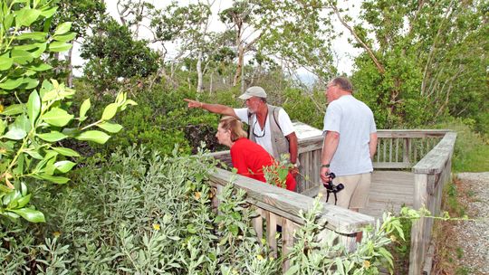 J.N. “Ding” Darling National Wildlife Refuge