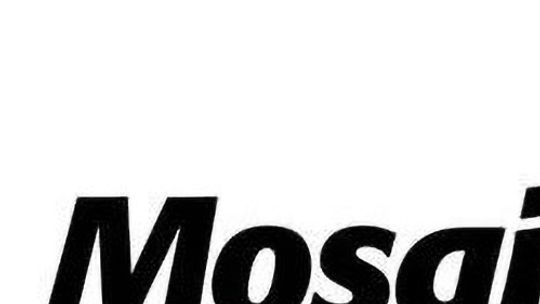 Mosaic - National Media Research Planning and Placement LLC