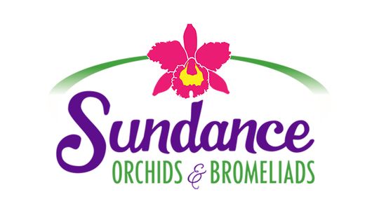 Sundance Orchids LLC
