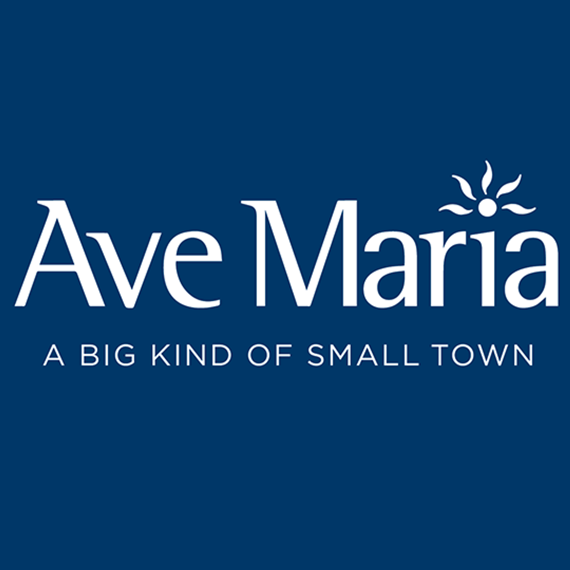 Barron Collier Companies - Ave Maria Development LLLP