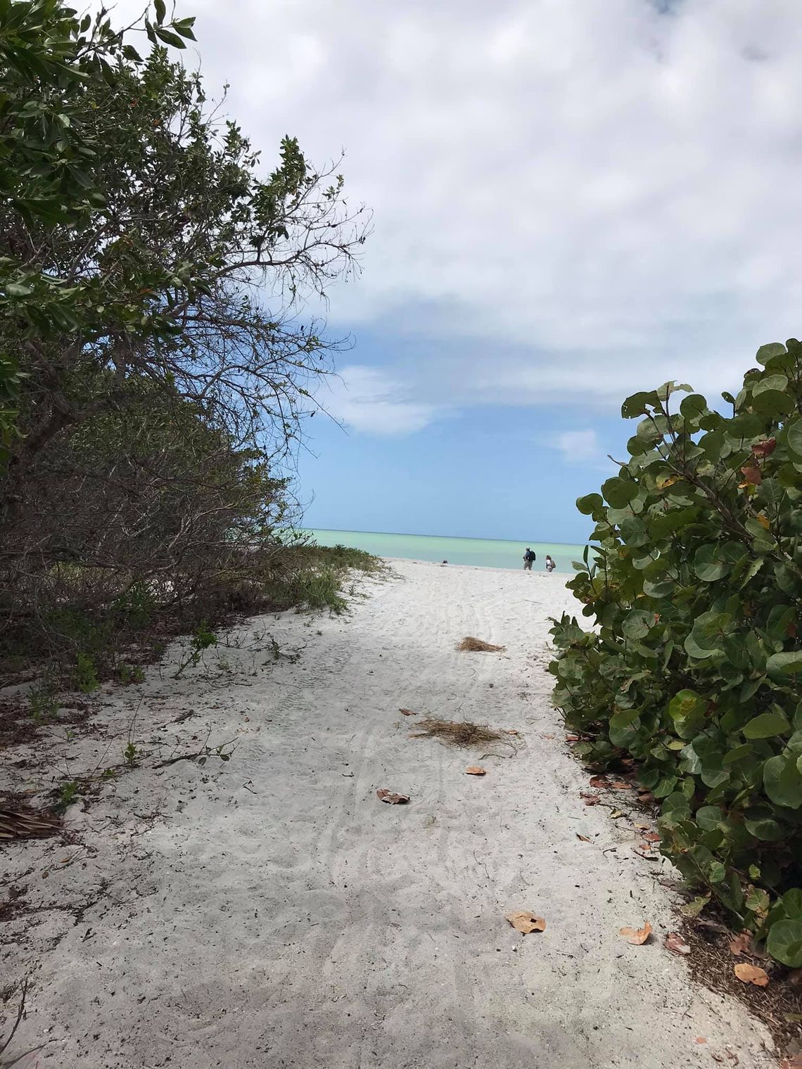 Cayo Costa State Park