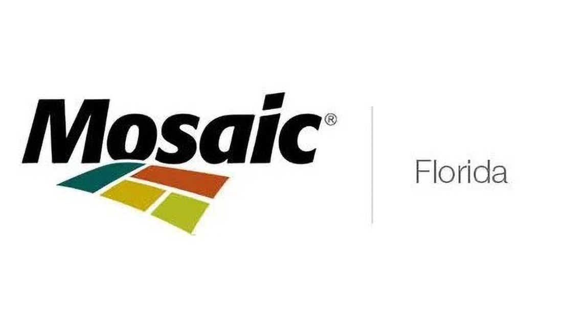 Mosaic - National Media Research Planning and Placement LLC