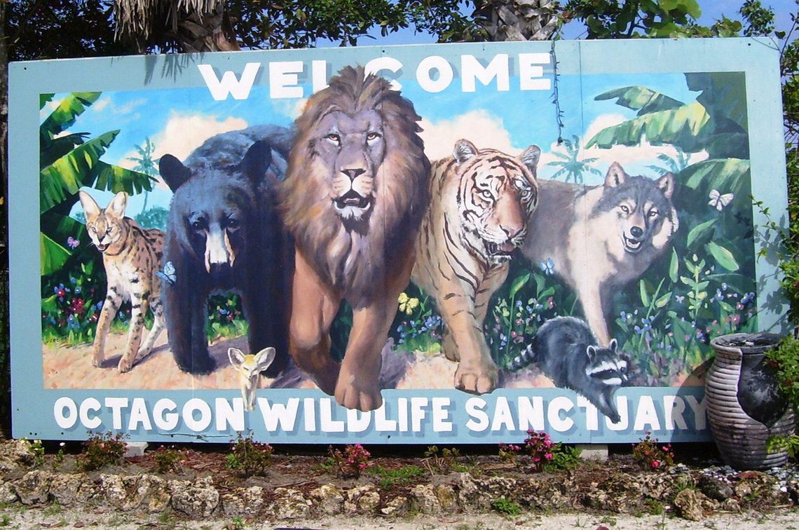 Octagon Wildlife Sanctuary