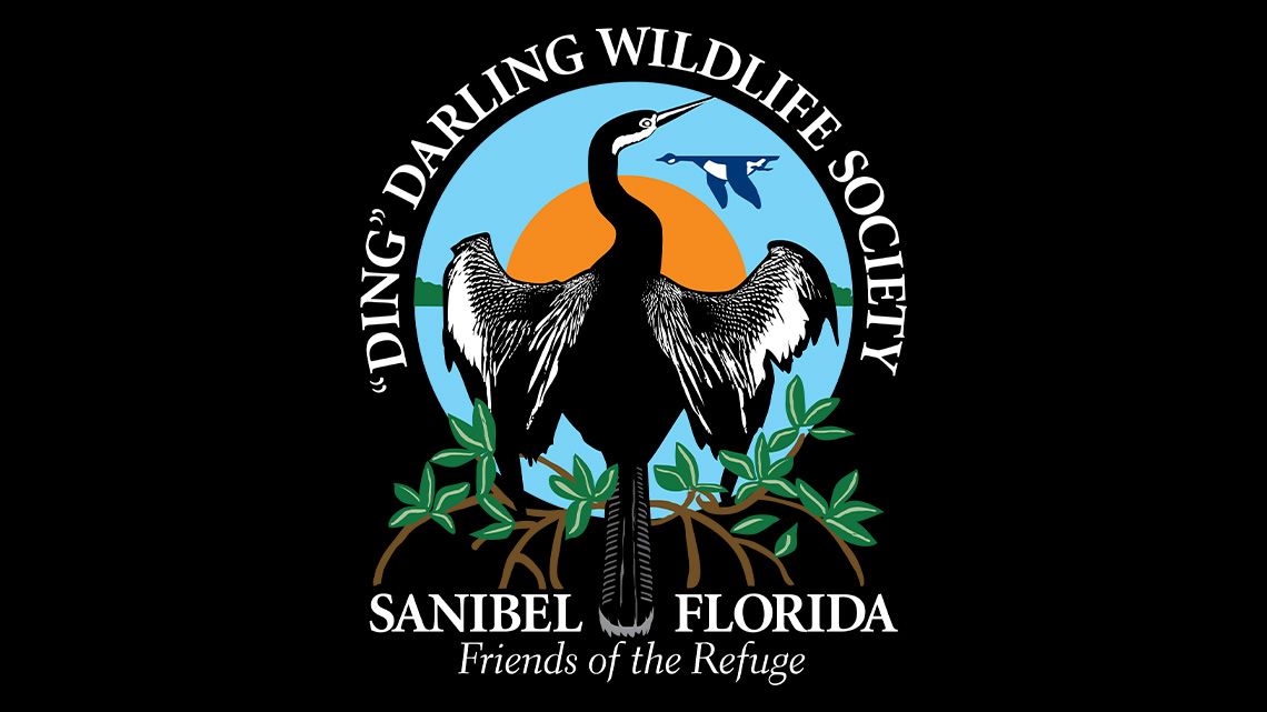 The “Ding” Darling Wildlife Society