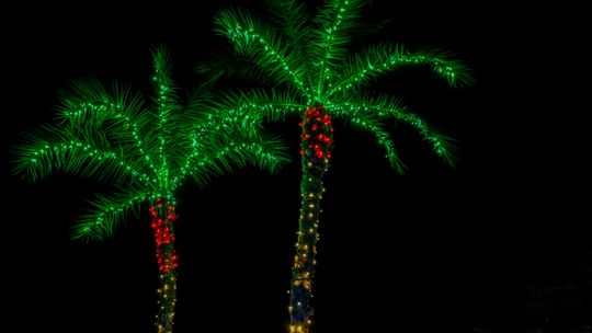 Cape Coral Holiday Festival of Lights