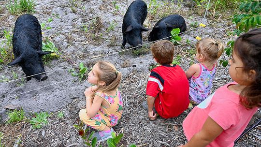 ECHO’s Global Food & Farm Festival
