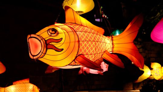 Fort Myers Beach Illuminations Parade