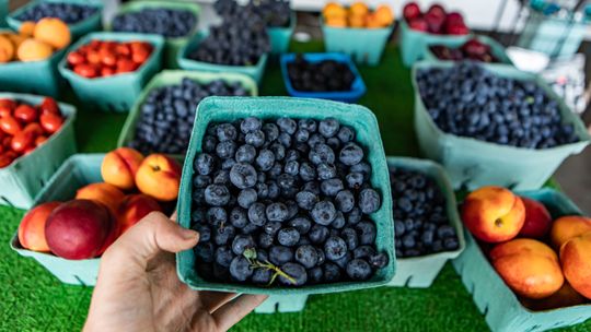 Fort Myers Blueberry Fest