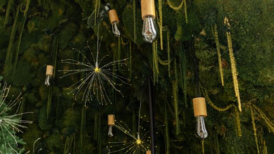 Johnsonville Night Lights in the Garden