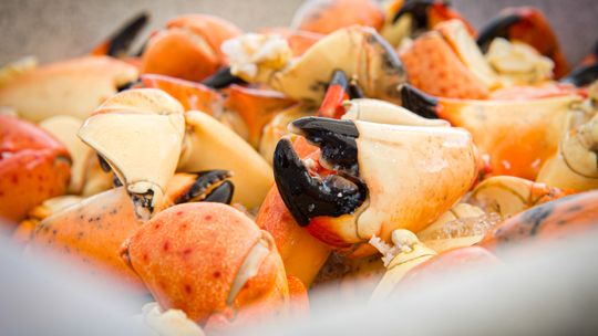 LCEC Stone Crab Music Fest
