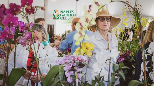 The Naples Flower Show & Garden Market The Naples Flower Show & Garden Market