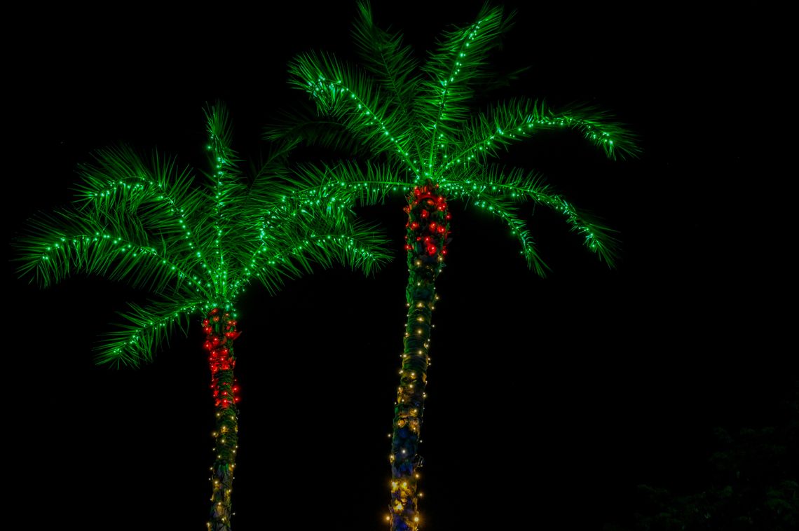 Cape Coral Holiday Festival of Lights