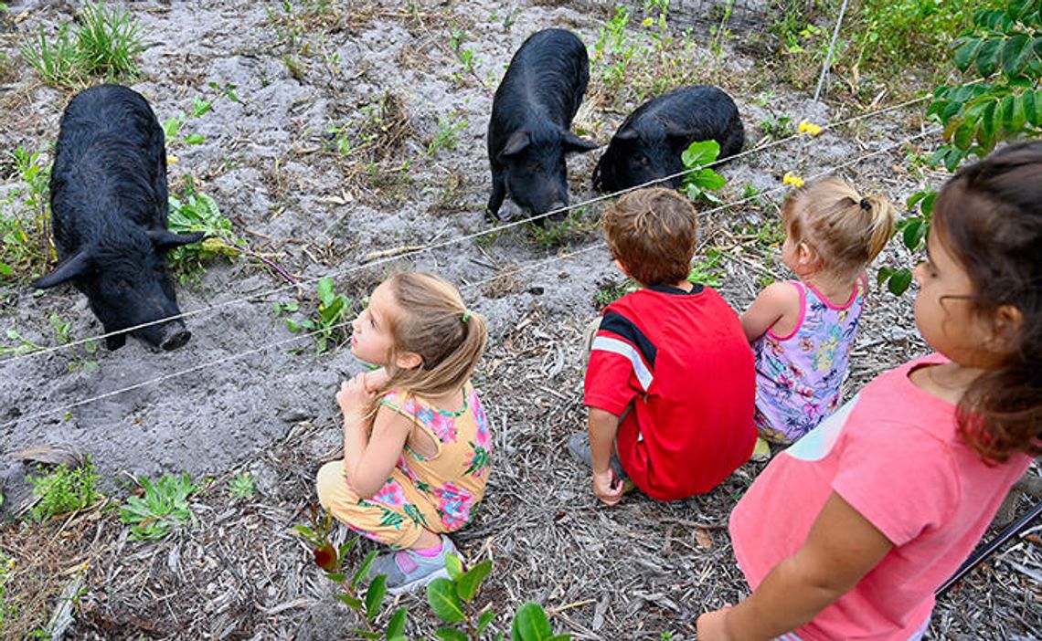 ECHO’s Global Food & Farm Festival