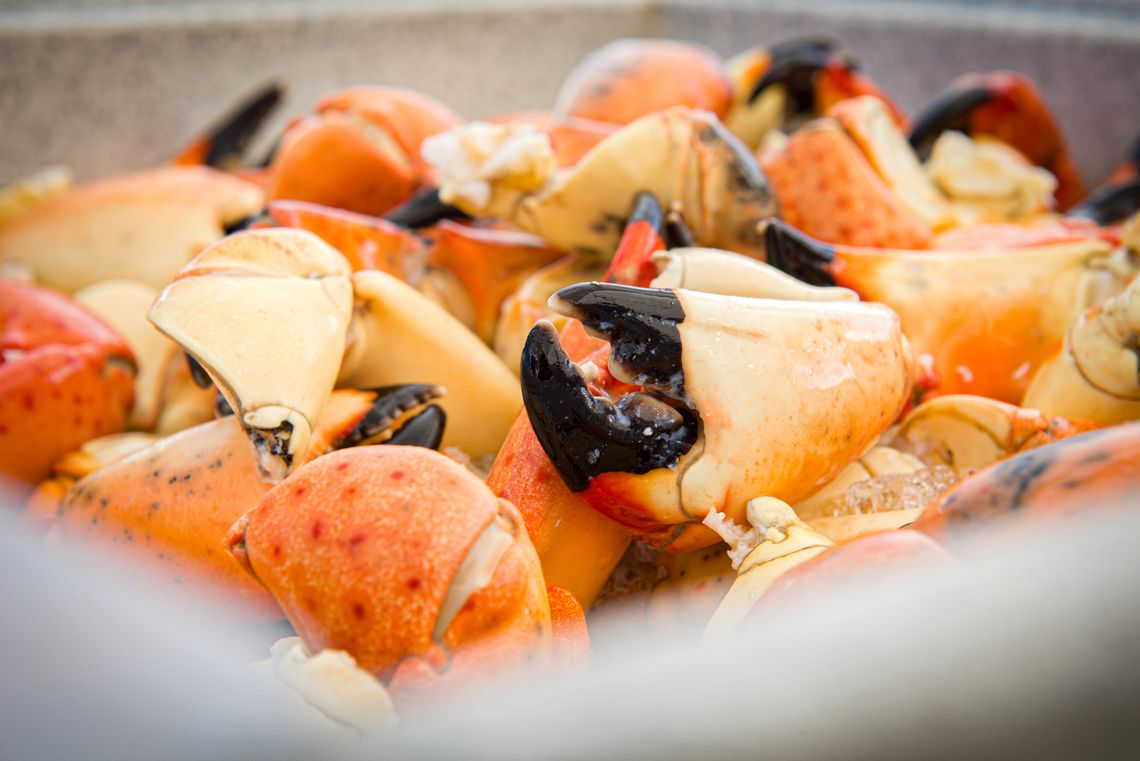 LCEC Stone Crab Music Fest