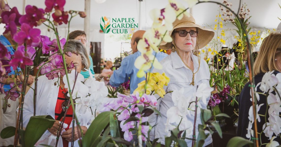 The Naples Flower Show & Garden Market The Naples Flower Show & Garden Market