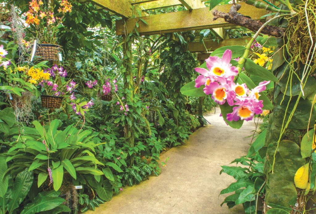 Tropical Conservatory at Marie Selby Botanical Gardens